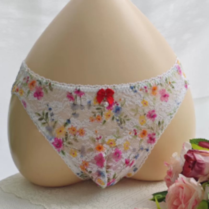 Embroidery Underwear - 시스루 섹시 남성용 레이스 팬티 로우